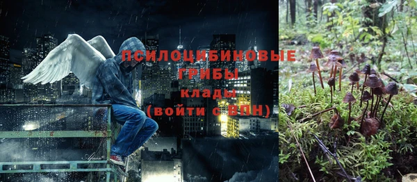стаф Иннополис